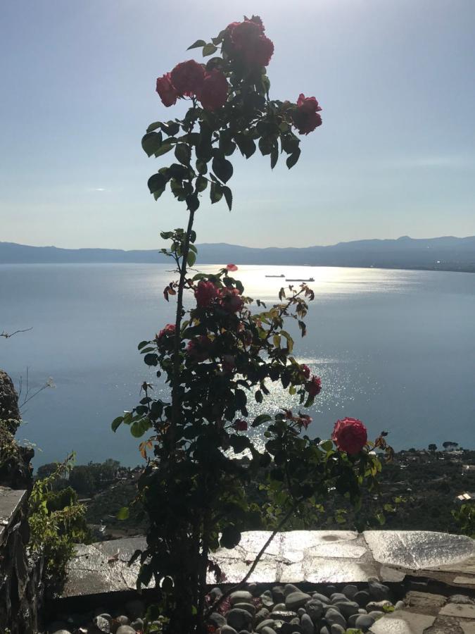 The Villa Of Blues Каламата Экстерьер фото